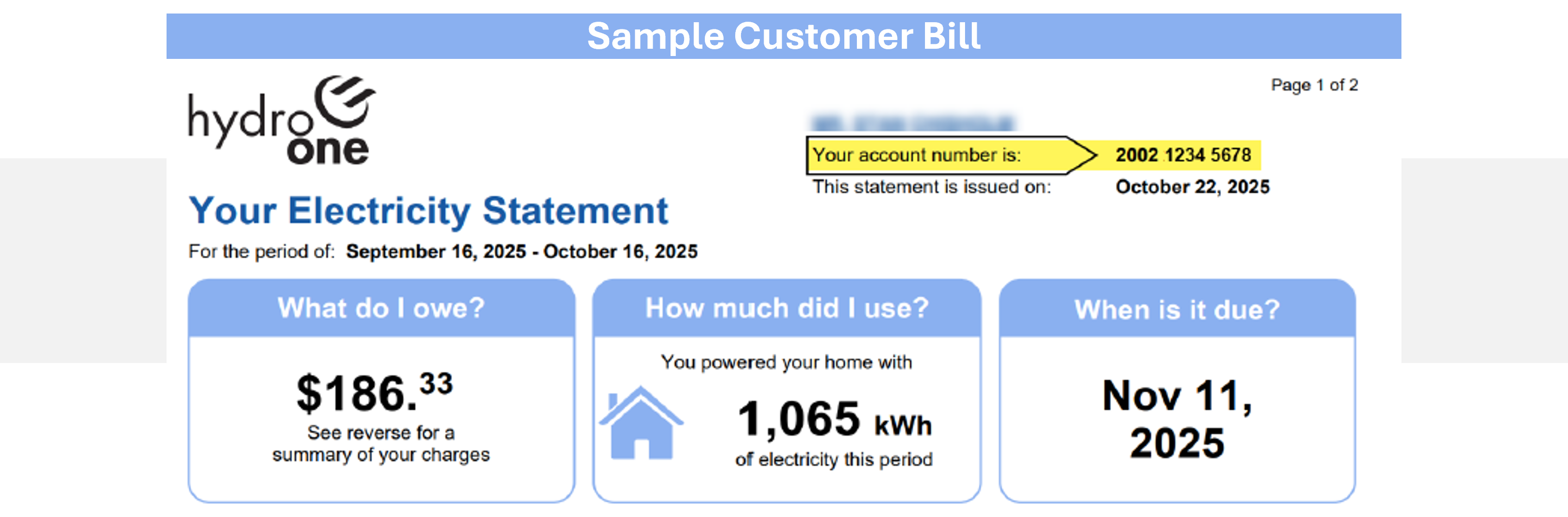 Sample of a Hydro One Bill